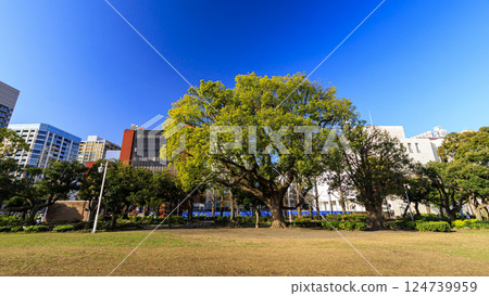 Spring at Yamashita Park 124739959