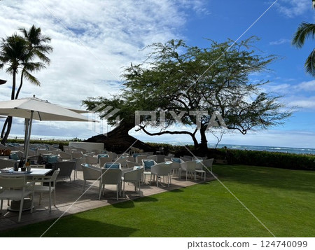 Aloha Garden Aloha Garden 124740099