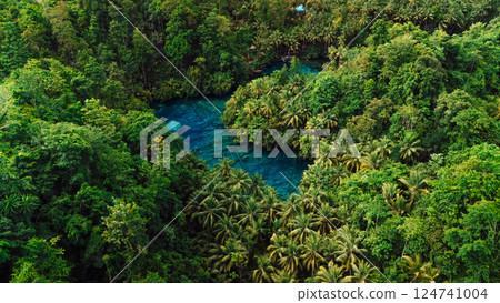 Amazing landscape with transparent crystal blue lake and jungle forest in Sulawesi, Indonesia. Drone view 124741004