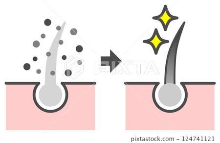 Cross-sectional diagram of a hair dye that dyes gray hair to make it black 124741121