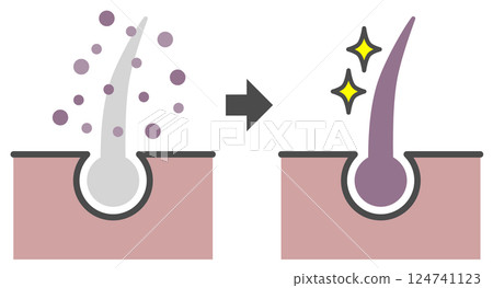 Cross-sectional diagram of a hair dye that dyes gray hair to make it black 124741123