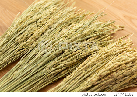 米穗米 米穗米 124741192