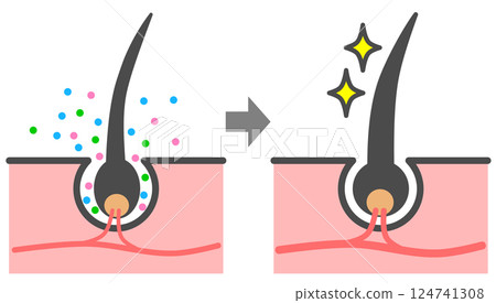 Cross-section of a hair growth agent penetrating the hair roots to promote healthy, black hair growth 124741308