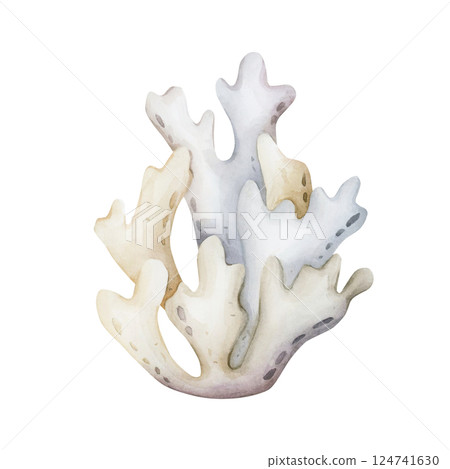 Sea coral. Cute undersea marine fauna. Underwater ocean life. Watercolor hand painted illustration isolated on white background for kids nursery decor wall sticker baby shower nautical maritime design 124741630