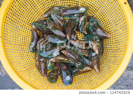 THAILAND PATTAYA NAKLUA SEAFOOD FISH MARKET 124742029