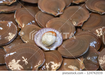 THAILAND PATTAYA NAKLUA SEAFOOD FISH MARKET 124742039