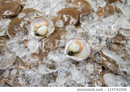 THAILAND PATTAYA NAKLUA SEAFOOD FISH MARKET THAILAND PATTAYA NAKLUA SEAFOOD FISH MARKET 124742040