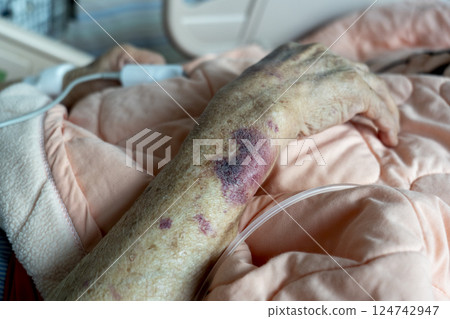 高齡照護 高齡照護 124742947