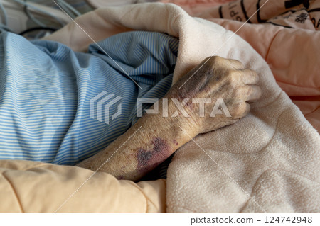 高齡照護 高齡照護 124742948