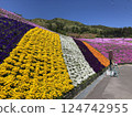 Flowers of Jupia Land in Hirata Village, Fukushima Prefecture 124742955