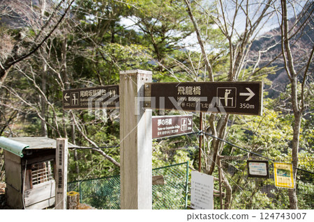 尺又峽 靜岡 壯麗景色 尺又峽 靜岡 壯麗景色 124743007