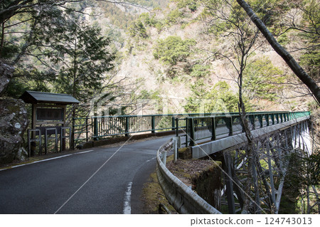Sumata Gorge Shizuoka Spectacular views 124743013