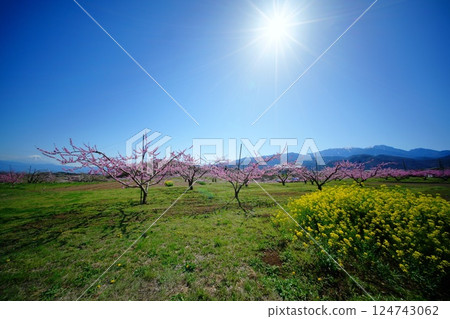 真風桃源鄉 124743062