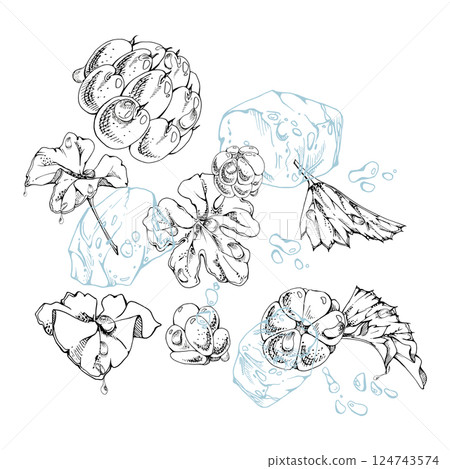 Cloudberry raspberry flying in water wave splash, ice cubes, plant leaves and drops, hand drawn vector ink, ripe summer forest berry. Isolated illustration for restaurant, cafe menu, farmers market Cloudberry raspberry flying in water wave splash, ice cubes, plant leaves and drops, hand drawn vector ink, ripe summer forest berry. Isolated illustration for restaurant, cafe menu, farmers market 124743574