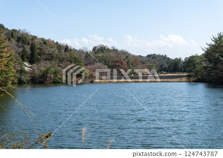 Cherry blossoms in full bloom at Miyama Park in Tamano, Okayama Prefecture, Japan Cherry blossoms in full bloom at Miyama Park in Tamano, Okayama Prefecture, Japan 124743787