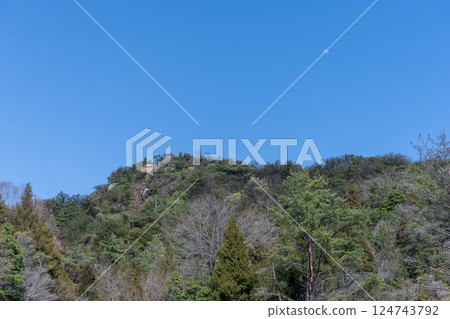 Cherry blossoms in full bloom at Miyama Park in Tamano, Okayama Prefecture, Japan 124743792