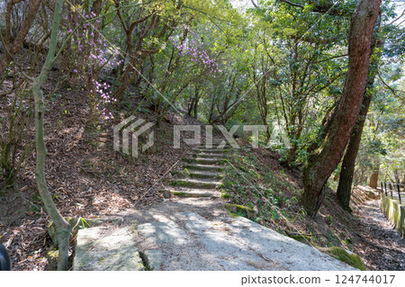 Beautiful Yamatsutsuji in Miyama Park, Tamano city, Okayama prefecture, Japan 124744017
