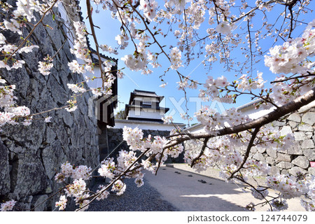 福岡城址的春天 福岡城櫻花節 下橋門 潮見塔 124744079