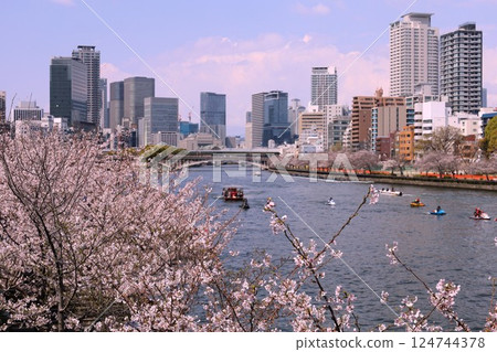 Osaka, Naniwa, Tenmabashi, Sanzenya, cherry blossom trees, Mint Bureau, through the streets, water bus, cherry blossom cruise, Nakanoshima 124744378