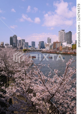 Osaka, Naniwa, Tenmabashi, Sanzenya, cherry blossom trees, Mint Bureau, through the streets, water bus, cherry blossom cruise, Nakanoshima 124744379