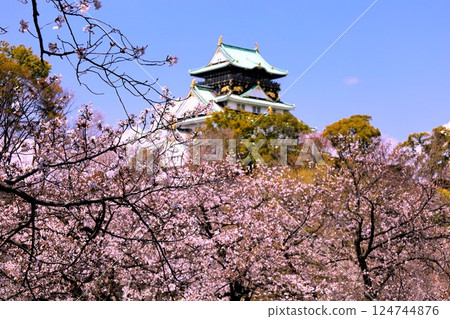 Osaka Castle, cherry blossom park, cherry blossoms in full bloom and Osaka Castle, cherry blossoms in full bloom floating on Osaka Castle, spring scenery at Osaka Castle, Osaka Castle cherry blossom story Osaka Castle, cherry blossom park, cherry blossoms in full bloom and Osaka Castle, cherry blossoms in full bloom floating on Osaka Castle, spring scenery at Osaka Castle, Osaka Castle cherry blossom story 124744876