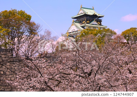 大阪城、櫻花公園、櫻花盛開的大阪城、大阪城上盛開的櫻花、大阪城的春日景色、大阪城櫻花故事 大阪城、櫻花公園、櫻花盛開的大阪城、大阪城上盛開的櫻花、大阪城的春日景色、大阪城櫻花故事 124744907