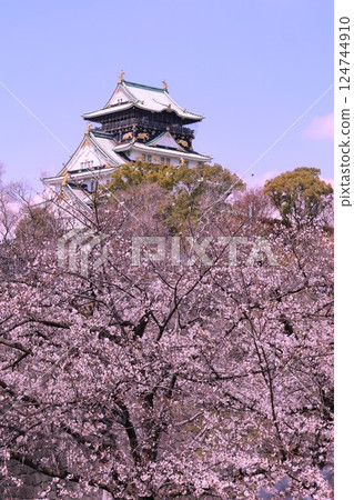 大阪城、櫻花公園、櫻花盛開的大阪城、大阪城上盛開的櫻花、大阪城的春日景色、大阪城櫻花故事 124744910