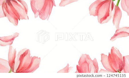 Pink tulip background image 124745135