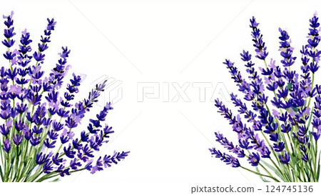 Watercolor lavender background image 124745136