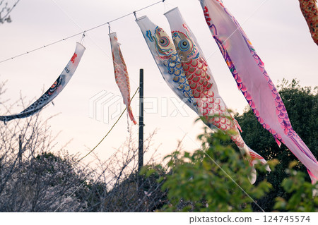 鯉魚旗在落日的天空飄揚 124745574