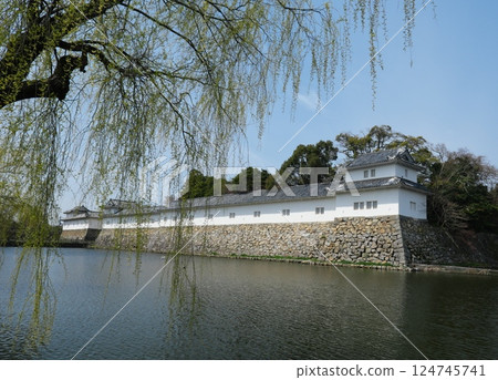 彥根城澤山口 124745741