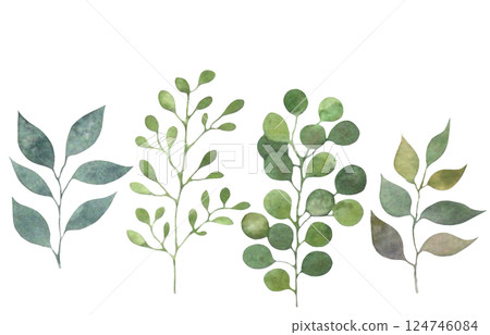 Watercolor leaf material, plant decoration, plant illustration, leaf set Watercolor leaf material, plant decoration, plant illustration, leaf set 124746084