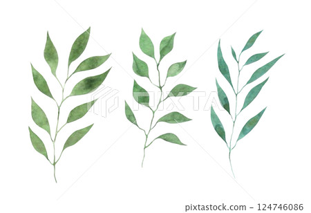 Watercolor leaf material, plant decoration, plant illustration, leaf set Watercolor leaf material, plant decoration, plant illustration, leaf set 124746086