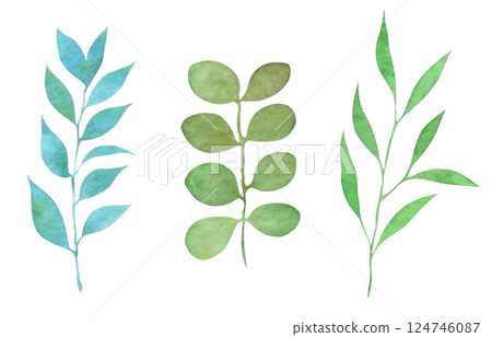 Watercolor leaf material, plant decoration, plant illustration, leaf set Watercolor leaf material, plant decoration, plant illustration, leaf set 124746087