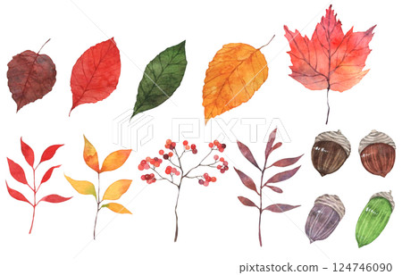 Watercolor leaf material, plant decoration, plant illustration, leaf set 124746090
