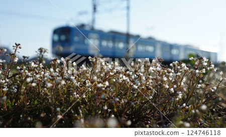 Kirakira Ohmi Railway Kirakira Ohmi Railway 124746118
