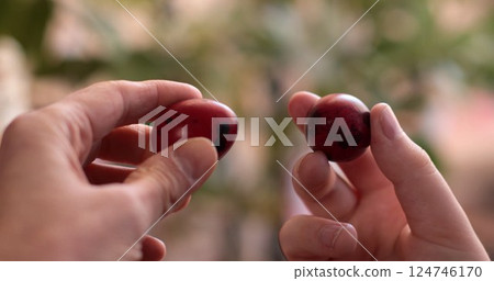 Celebrating Easter eggs and quail eggs with tapping tradition of coloring and decorating eggs for festivities 124746170