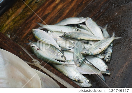 Fresh Fish at fish market at puri sea beach Fresh Fish at fish market at puri sea beach 124746527