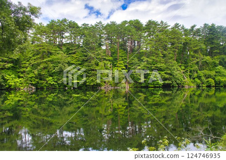 [福島縣] 五色沼湖、柳沼 124746935