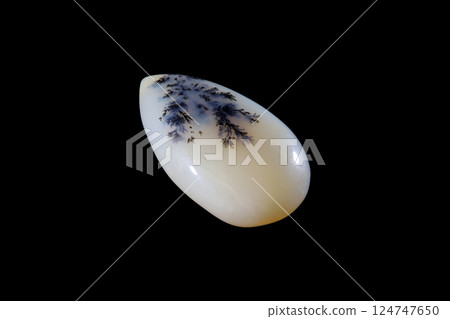 Dendritic Agate A stone that harbors landscapes 124747650