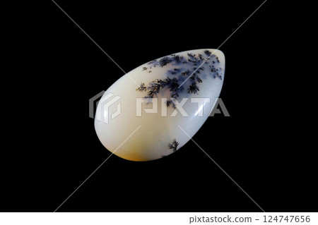 Dendritic Agate A stone that harbors landscapes 124747656