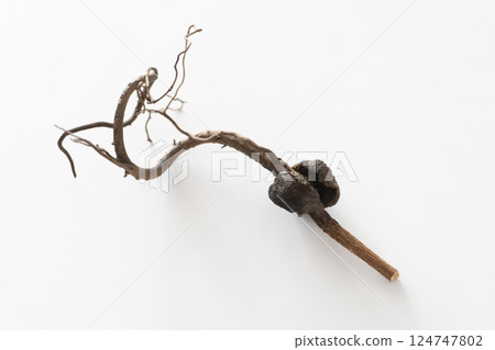 Dried avocado Dried avocado 124747802