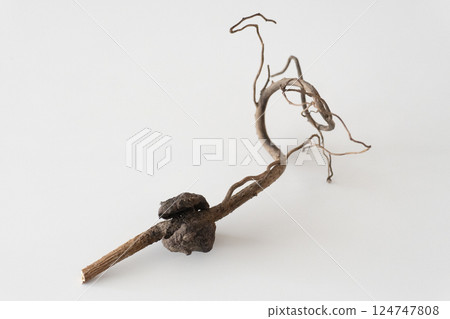 Dried avocado Dried avocado 124747808