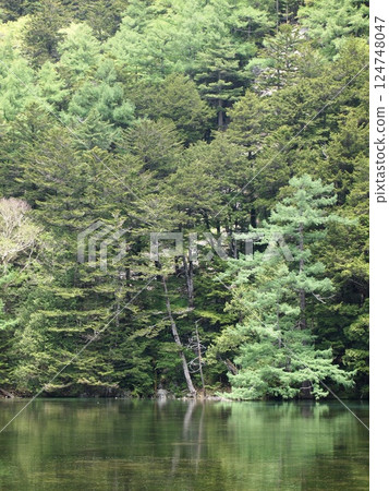 景觀與綠色 124748047