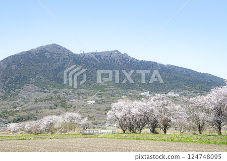 筑波山和環島公路 - 拆除電線和電線桿 124748095