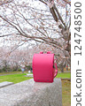 School bags under the cherry blossoms 124748500