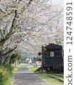 Train running along the cherry blossom line 124748591