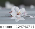 White cherry tree 124748714
