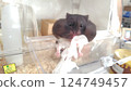 Hamster playing with tissue 124749457