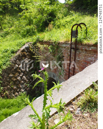 廢棄的鐵路線 廢棄的鐵路線 124749751
